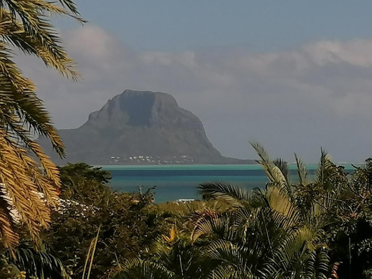 Terre Et Mer - Studios - Ile Maurice Rivière Noire Exteriör bild