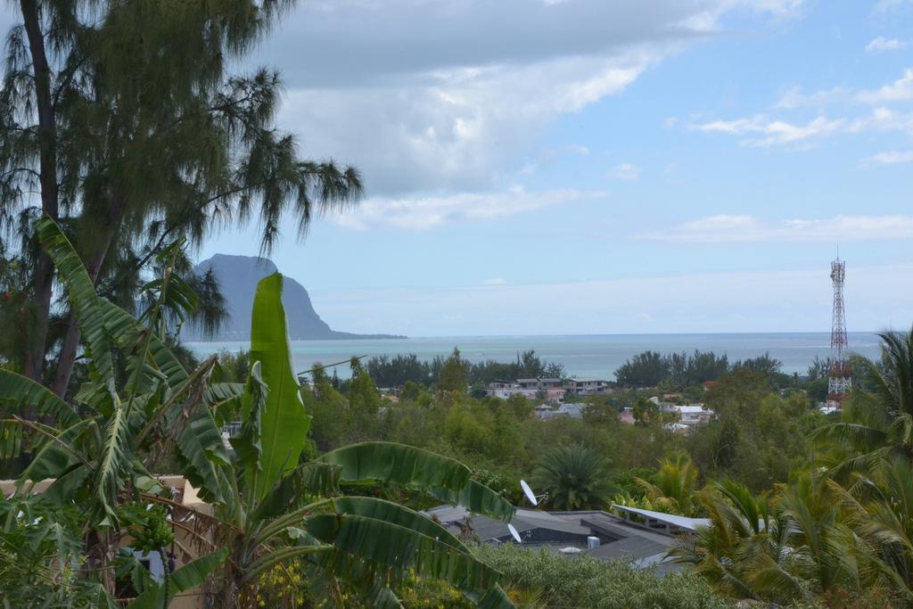 Terre Et Mer - Studios - Ile Maurice Rivière Noire Exteriör bild